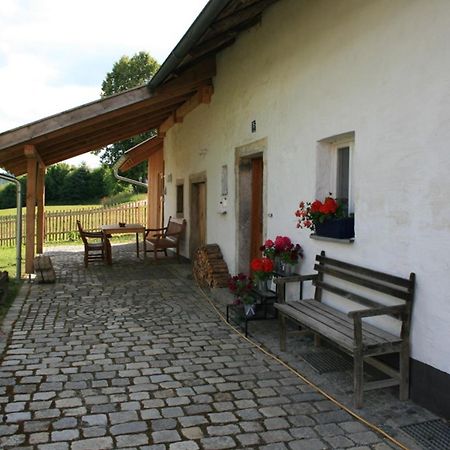 Ferienhaus Winter Blaibach Ngoại thất bức ảnh