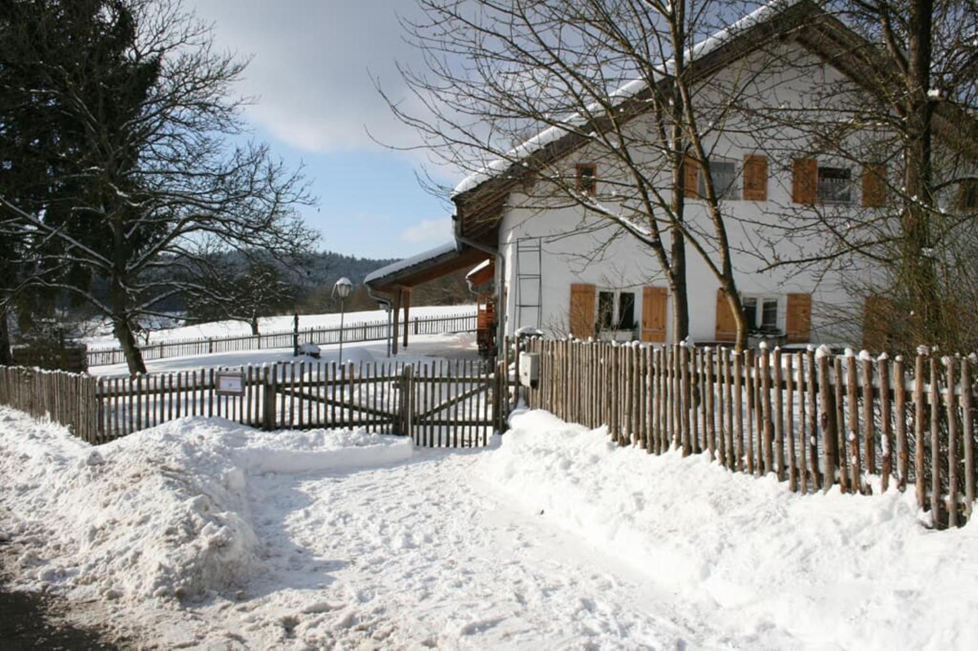 Ferienhaus Winter Blaibach Ngoại thất bức ảnh