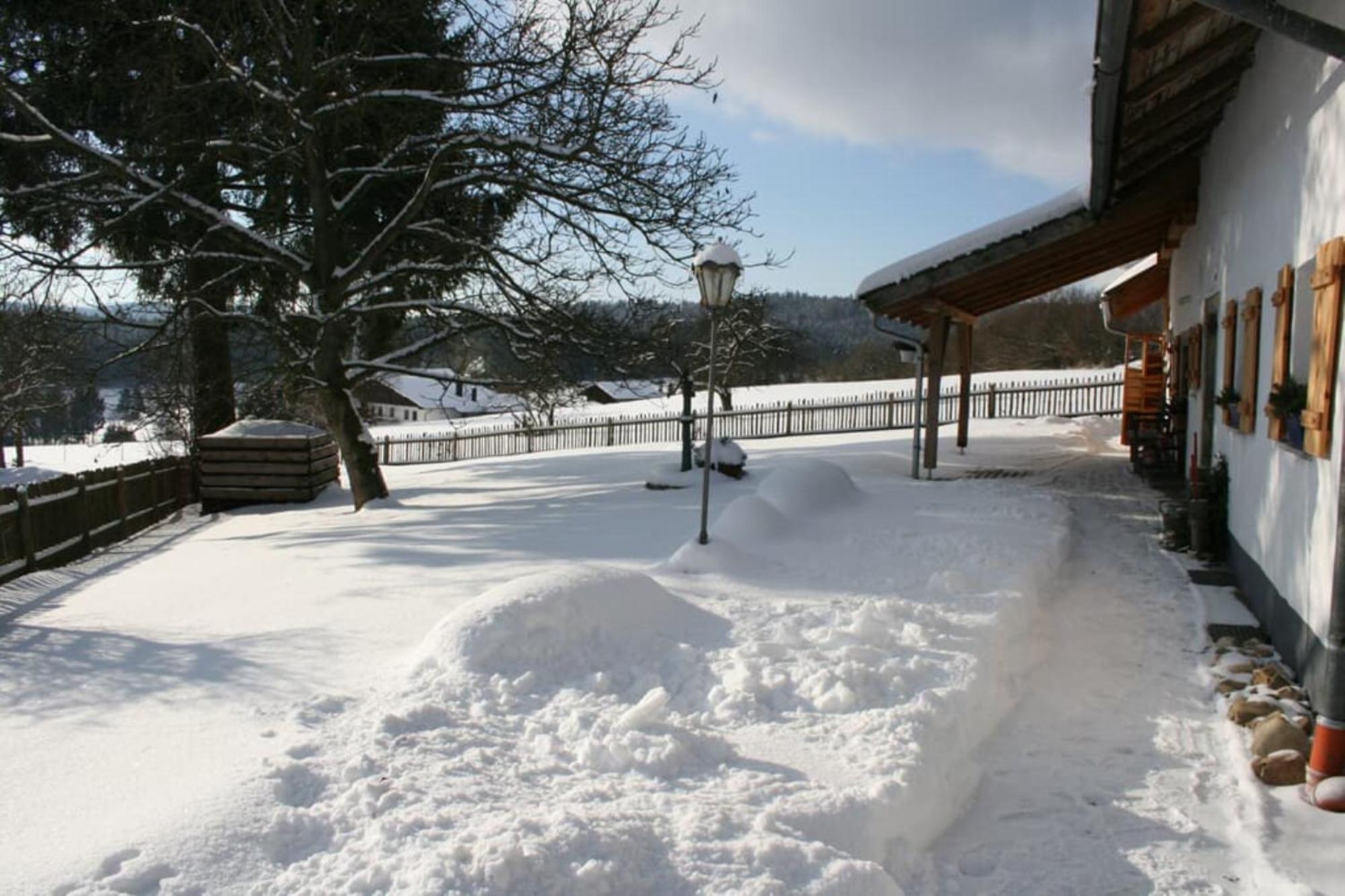 Ferienhaus Winter Blaibach Ngoại thất bức ảnh
