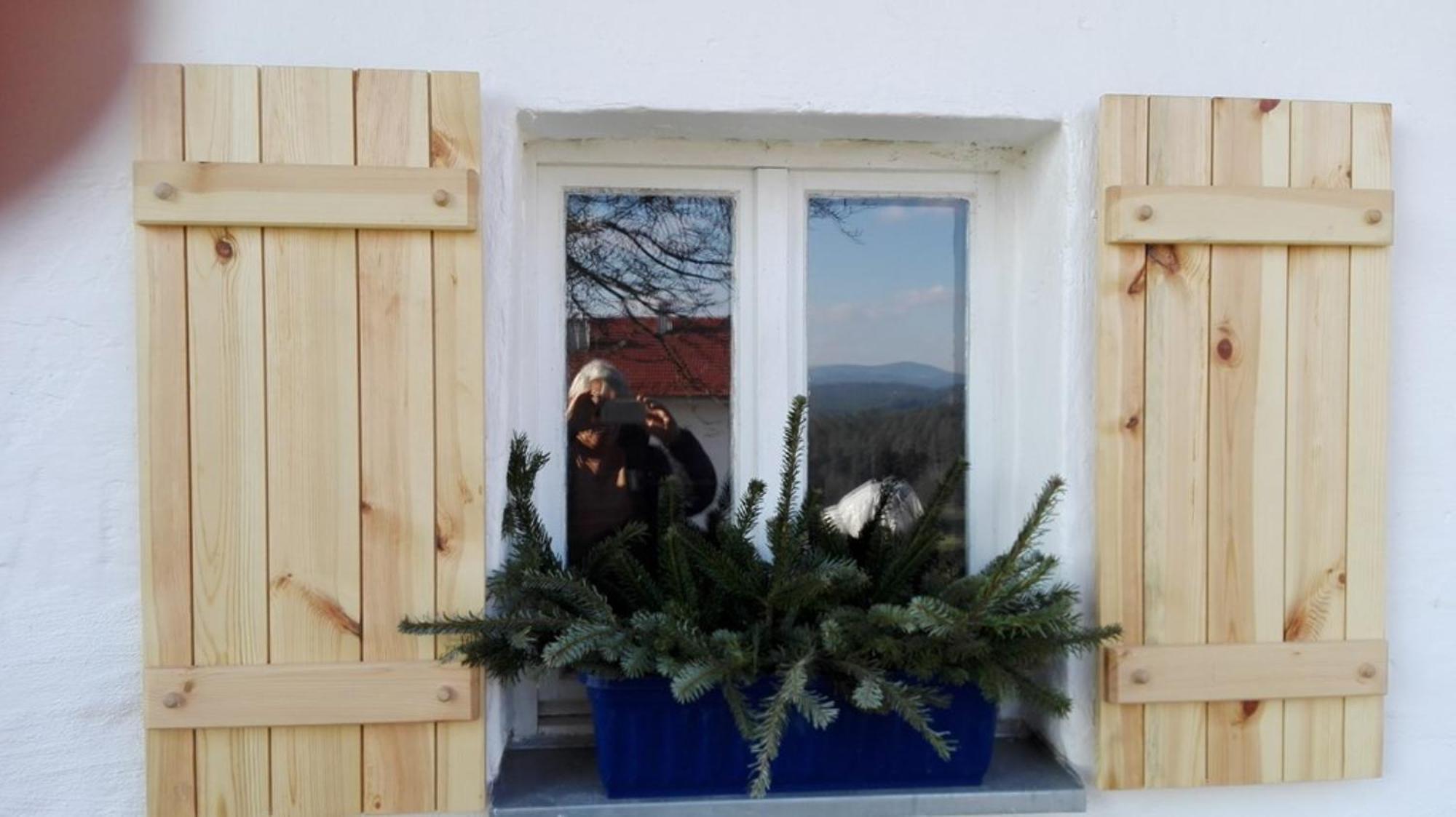 Ferienhaus Winter Blaibach Ngoại thất bức ảnh
