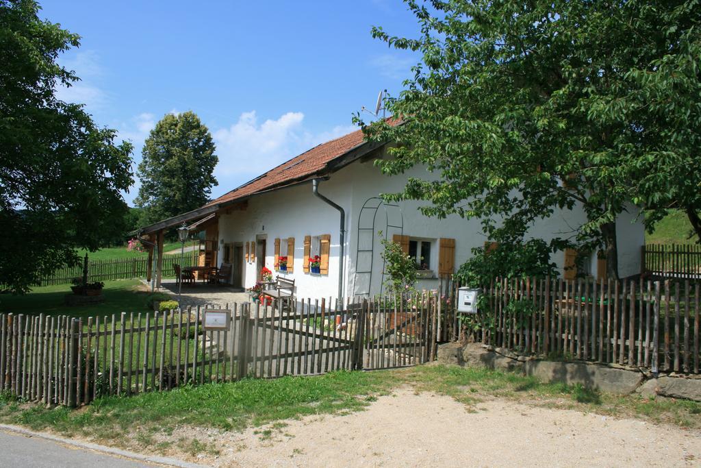 Ferienhaus Winter Blaibach Ngoại thất bức ảnh